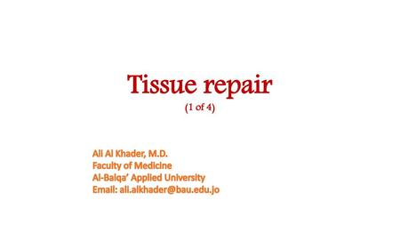 Tissue repair (1 of 4) Ali Al Khader, M.D. Faculty of Medicine