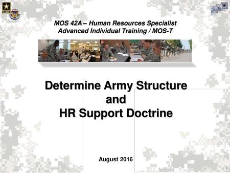 Determine Army Structure and HR Support Doctrine