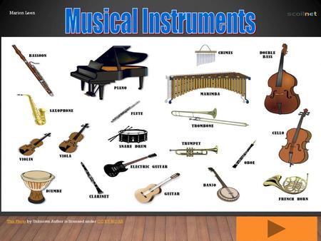 Musical Instruments Marion Leen