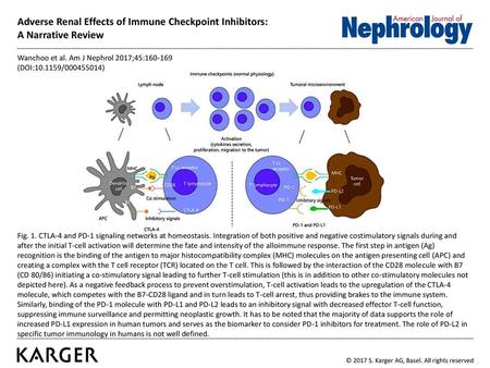 Adverse Renal Effects of Immune Checkpoint Inhibitors: