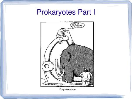 Prokaryotes Part I.