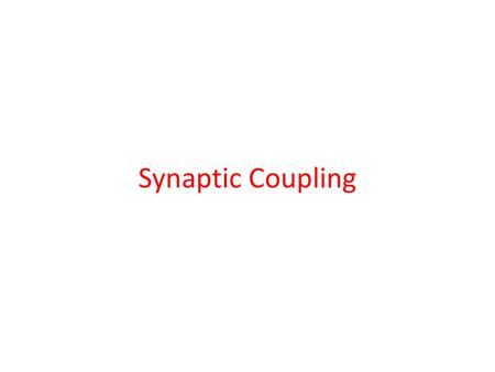 Synaptic Coupling.