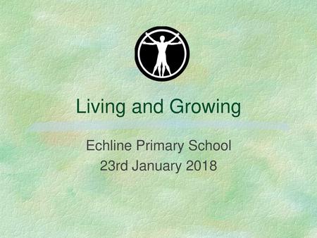 Echline Primary School 23rd January 2018