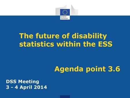 The future of disability statistics within the ESS Agenda point 3.6
