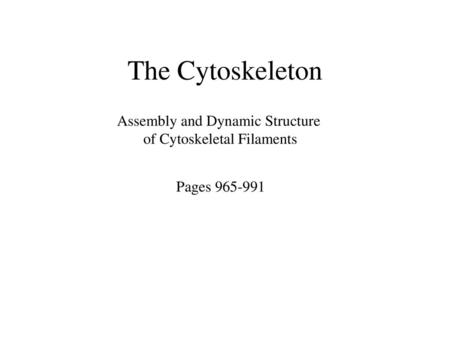 The Cytoskeleton Assembly and Dynamic Structure