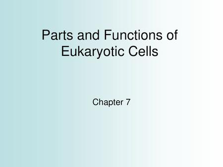 Parts and Functions of Eukaryotic Cells Chapter 7