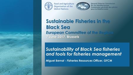 Sustainable Fisheries in the Black Sea European Committee of the Regions 7 June 2017, Brussels Sustainability of Black Sea fisheries and tools for fisheries.