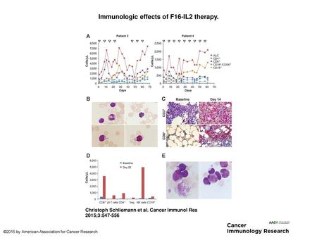 Immunologic effects of F16-IL2 therapy.