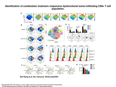 Identification of combination treatment–responsive dysfunctional tumor-infiltrating CD8+ T cell population. Identification of combination treatment–responsive.