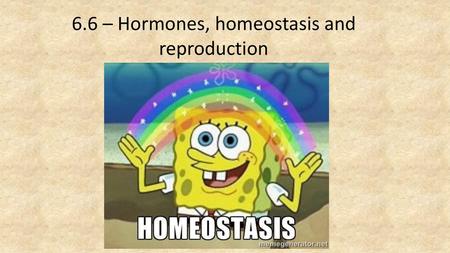 6.6 – Hormones, homeostasis and reproduction