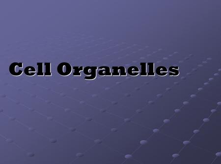 Cell Organelles Use this presentation in conjunction with the Cell Organelle note-taking worksheet. Run through the entire presentation before using it.