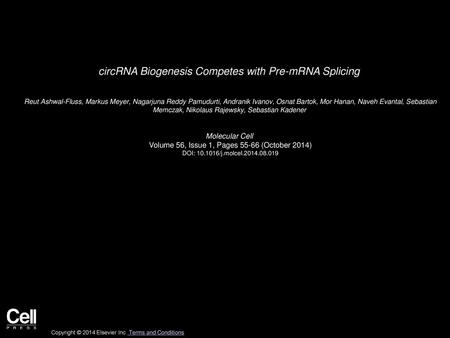 circRNA Biogenesis Competes with Pre-mRNA Splicing