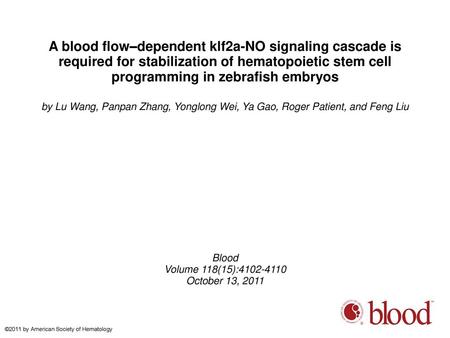 A blood flow–dependent klf2a-NO signaling cascade is required for stabilization of hematopoietic stem cell programming in zebrafish embryos by Lu Wang,