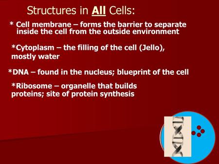 Structures in All Cells: