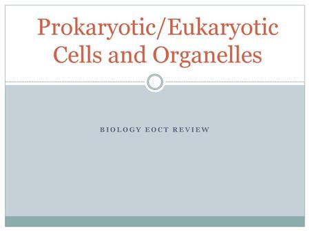 Prokaryotic/Eukaryotic Cells and Organelles