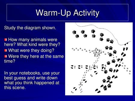 Warm-Up Activity Study the diagram shown.
