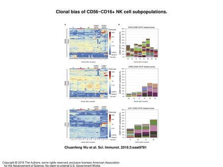 Clonal bias of CD56−CD16+ NK cell subpopulations.