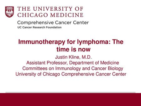 Immunotherapy for lymphoma: The time is now