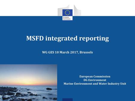 MSFD integrated reporting