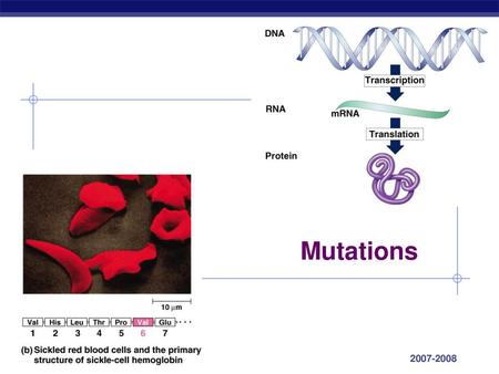 Mutations 2007-2008.