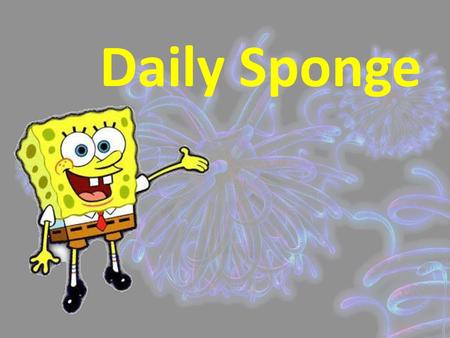 Daily Sponge.