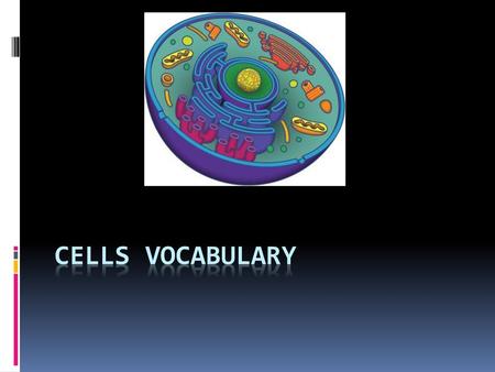 Cells Vocabulary.