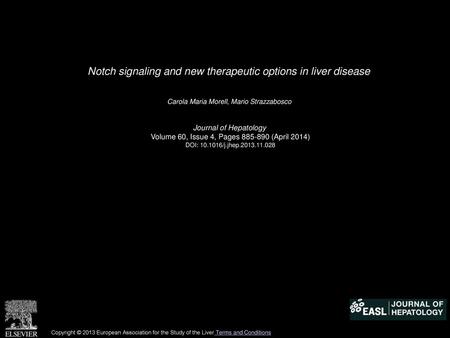 Notch signaling and new therapeutic options in liver disease