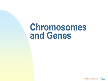 Chromosomes and Genes.