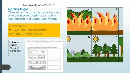 Monday October 23, 2017 Learning target: Observe, record, and describe the role of ecological succession such as in a microhabitat of a garden with weeds.