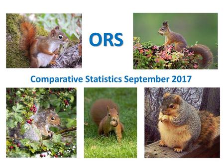 Comparative Statistics September 2017