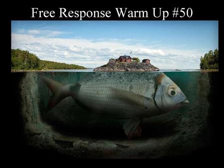 Free Response Warm Up #50.