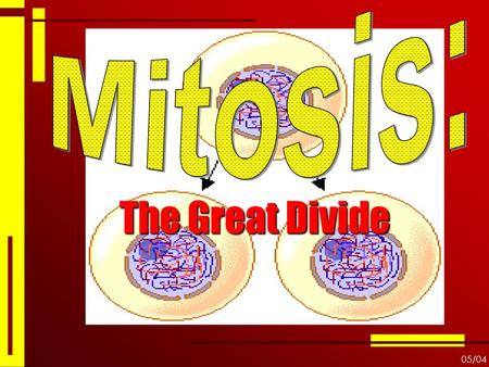The Great Divide Mitosis: 05/04 Thanks to person who introduced me