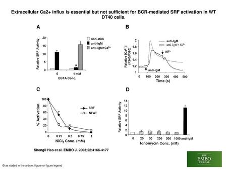 Extracellular Ca2+ influx is essential but not sufficient for BCR‐mediated SRF activation in WT DT40 cells. Extracellular Ca2+ influx is essential but.