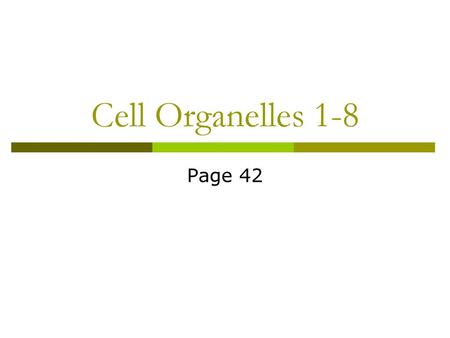 Cell Organelles 1-8 Page 42.