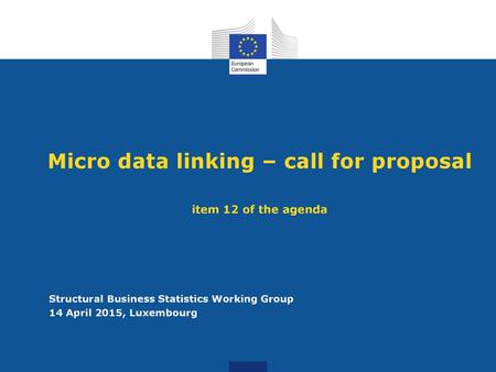 Micro data linking – call for proposal item 12 of the agenda
