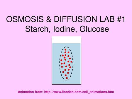 OSMOSIS & DIFFUSION LAB Animation from: - ppt download