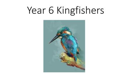 Year 6 Kingfishers.
