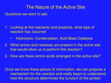 The Nature of the Active Site