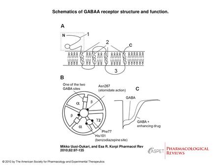 Schematics of GABAA receptor structure and function.