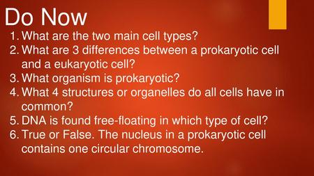 Do Now What are the two main cell types?