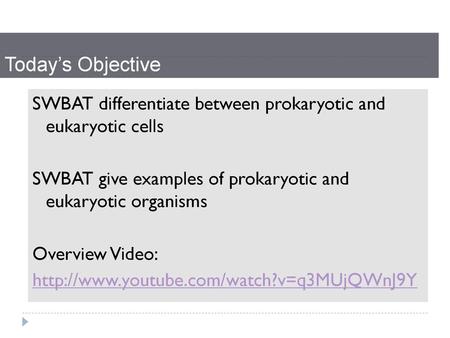 Today’s Objective SWBAT differentiate between prokaryotic and eukaryotic cells SWBAT give examples of prokaryotic and eukaryotic organisms Overview Video: