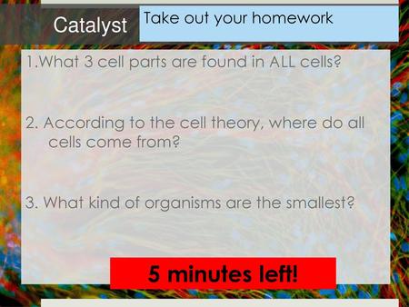 5 minutes left! Catalyst Take out your homework