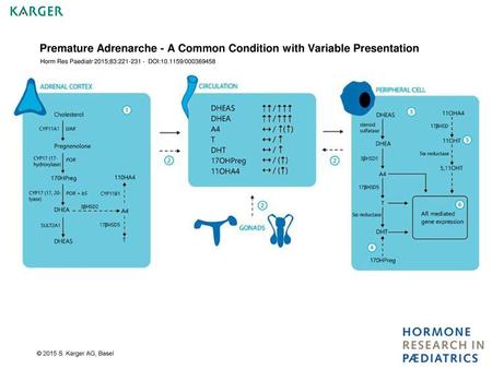 Premature Adrenarche - A Common Condition with Variable Presentation