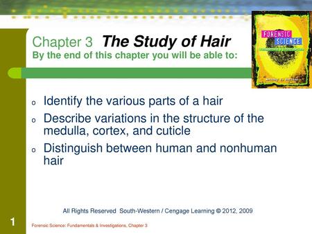 Identify the various parts of a hair - ppt video online download