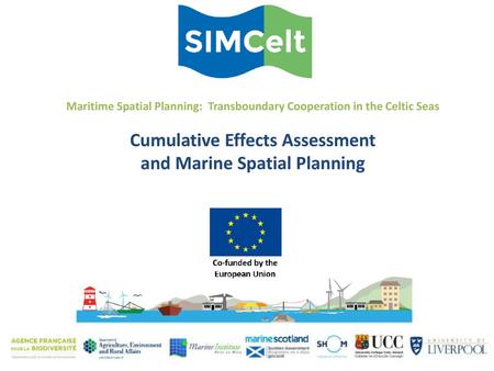 Cumulative Effects Assessment and Marine Spatial Planning