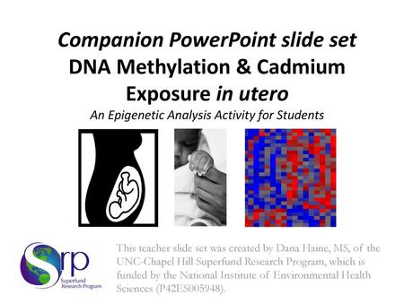 Companion PowerPoint slide set DNA Methylation & Cadmium Exposure in utero An Epigenetic Analysis Activity for Students This teacher slide set was created.