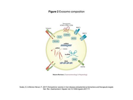 Figure 2 Exosome composition