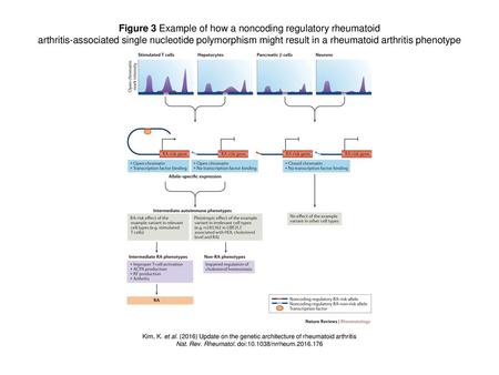 Figure 3 Example of how a noncoding regulatory rheumatoid