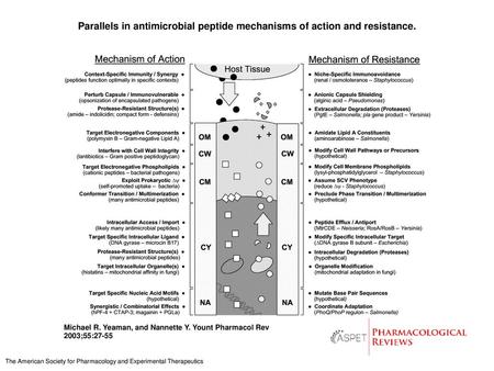 Parallels in antimicrobial peptide mechanisms of action and resistance