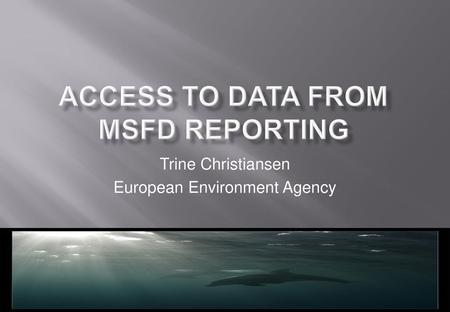 Access to data from MSFD reporting